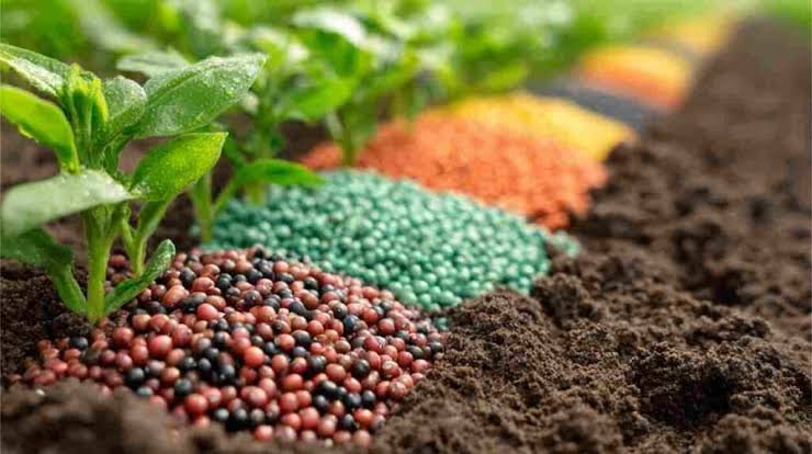 الأسمدة والمخصبات الحديثة